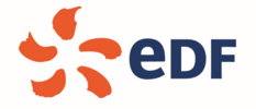 French South African Chamber of Commerce Platinum Members: EDF