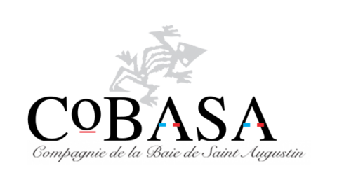 COBASA