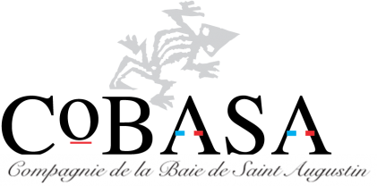COBASA