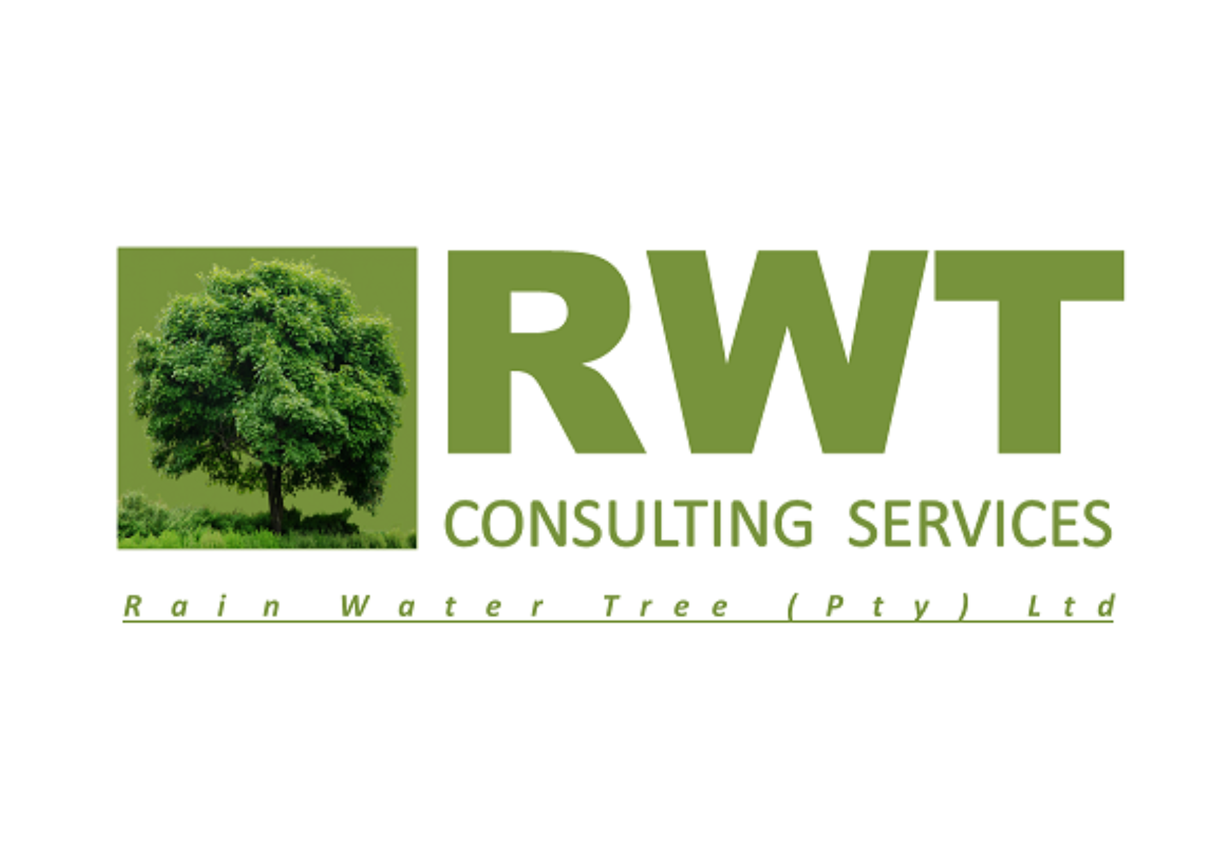 RWT CONSULTING SERVICES